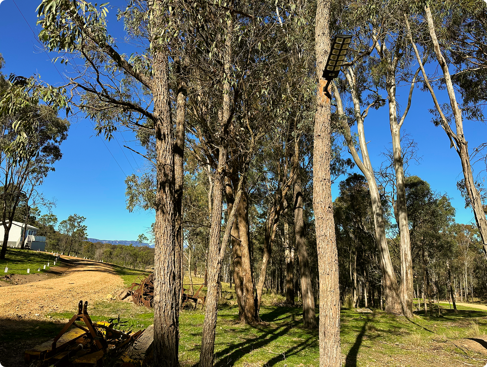 Gallery Image 6